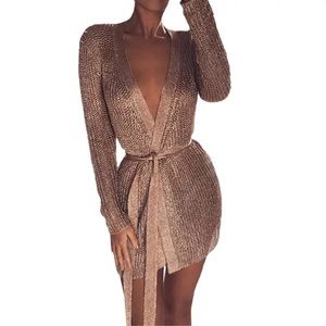 Mesh Rose Gold Mini Dress